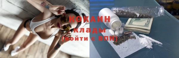 соль ск Арсеньев