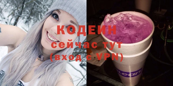 соль ск Арсеньев