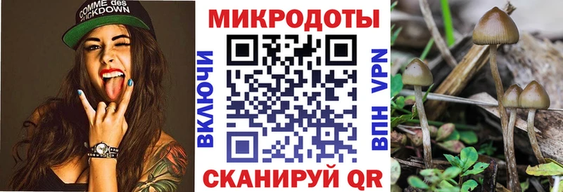 закладки  Нижний Новгород  Псилоцибиновые грибы GOLDEN TEACHER 